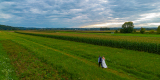 Fotografia Kamil Grzelak | Fotograf ślubny Rzeszów, podkarpackie - zdjęcie 3