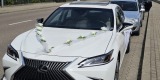 Lexus ES Ultra Luxury | Auto do ślubu Węgorzewo, warmińsko-mazurskie - zdjęcie 6