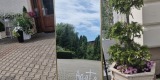 Wed Wishes - Dekoracje | Dekoracje ślubne Lublin, lubelskie - zdjęcie 3