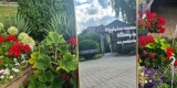Wed Wishes - Dekoracje | Dekoracje ślubne Lublin, lubelskie - zdjęcie 5