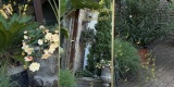 Wed Wishes - Dekoracje | Dekoracje ślubne Lublin, lubelskie - zdjęcie 6
