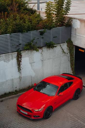 Ford Mustang GT 5.0 | Auto do ślubu Zamość, lubelskie