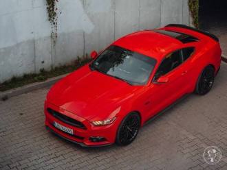 Ford Mustang GT 5.0 | Auto do ślubu Zamość, lubelskie