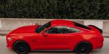 Ford Mustang GT 5.0 | Auto do ślubu Zamość, lubelskie - zdjęcie 3