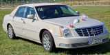 Cadillac DTS | Auto do ślubu Opole, opolskie - zdjęcie 3