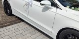 Ford Mondeo MK5 | Auto do ślubu Gryfice, zachodniopomorskie - zdjęcie 3