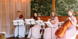 UniQuartet - kwartet smyczkowy | Oprawa muzyczna ślubu Bydgoszcz, kujawsko-pomorskie - zdjęcie 5