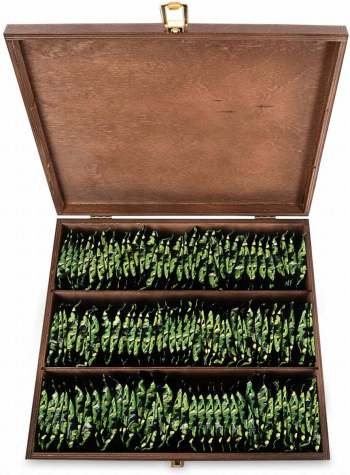 Zestaw herbat w skrzynce lakierowanej 120 sztuk herbaciarka - zdjęcie 1