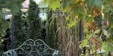 Tajemniczy Ogród | Sala weselna Poznań, wielkopolskie - zdjęcie 2