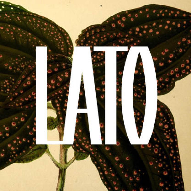 Lato- Ala