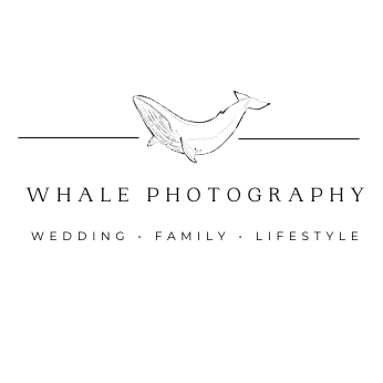 whale photography