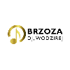 DJ Brzoza