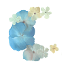 Florescendo