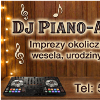 DJ z akordeonem