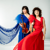 Violin Art Project