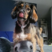 Profil ślubny Alicja & Michał