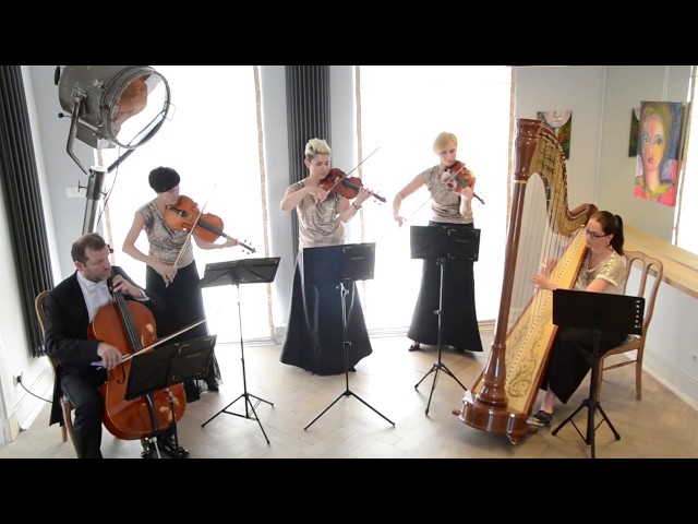 Muzyka na ślub: kwartet smyczkowy, harfa + skrzypce, wokalistka itd. - film 1