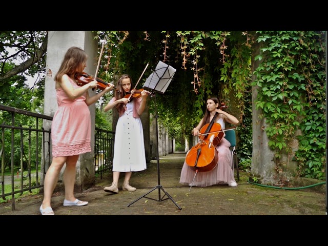 Oprawa muzyczna ślubu - trio smyczkowe (skrzypce+skrzypce+wiolonczela) - film 1
