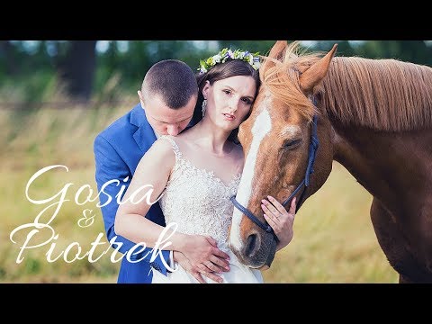 Camera-S 🎬 Studio Filmowe Sosińska&Żuk - film 1