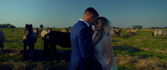 Creative Wedding Films Twoja historia jest moją inspiracją. - film 1