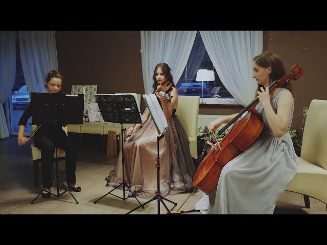 Trio Gracja - oprawa muzyczna - film 1