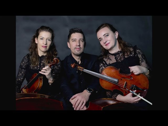 Vision Trio - trio smyczkowe - film 1