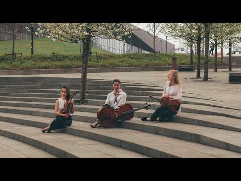 Profesjolana oprawa muzyczna ślubu - Fresco Trio - film 1