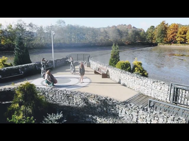 Flower Trio - film 1