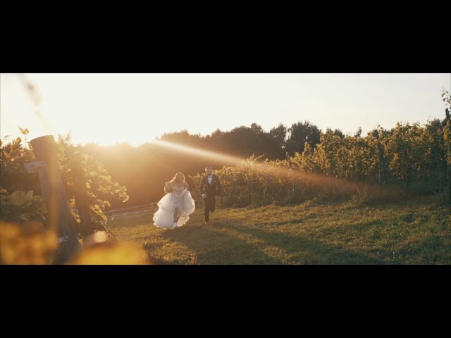 Wiśniowa Spółdzielnia Weselna - film 1