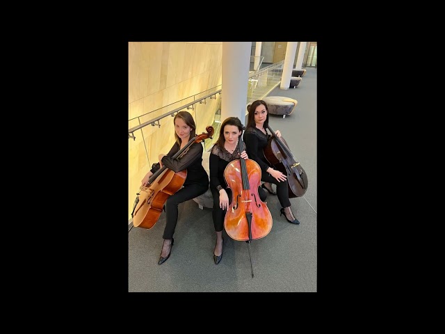 Trio wiolonczelowe A Tre -profesjonalna oprawa muzyczna uroczystości - film 1