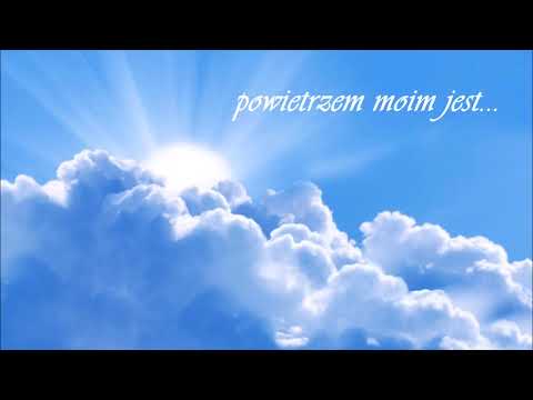 ORGANISTA Oprawa muzyczna ślubu Dariusz Wychudzki PIANO ORGAN WOKAL - film 1