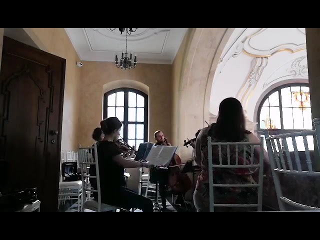 Oprawa muzyczna ślubu - Mr&Mrs Quartet - film 1