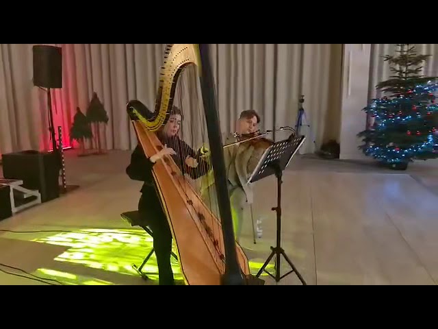 Duet Harfa i Skrzypce | Oprawa muzyczna | Hazuka/Kowalewski Duo - film 1