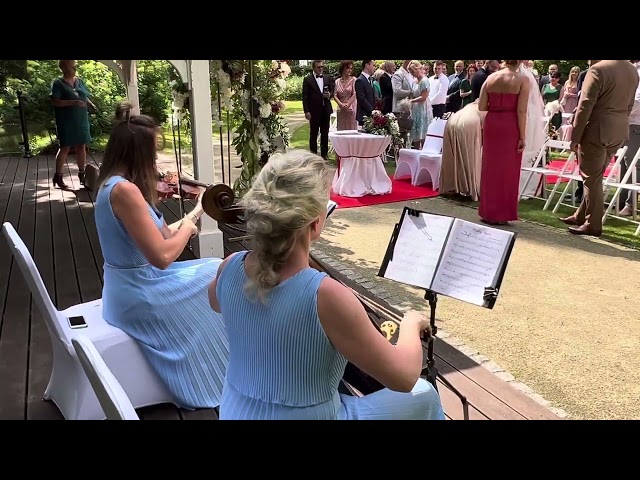 Skrzypaczka ViolinArt - film 1