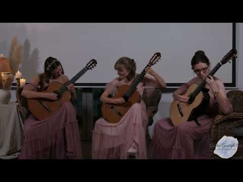 Baltic Guitar Trio - film 1