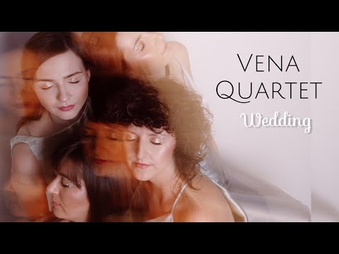 Vena Quartet - film 1