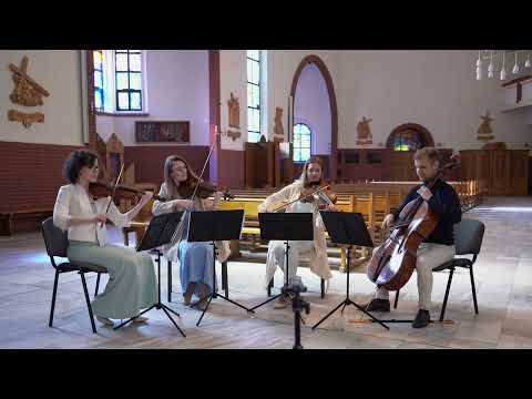 Phenomen String Quartet - film 1