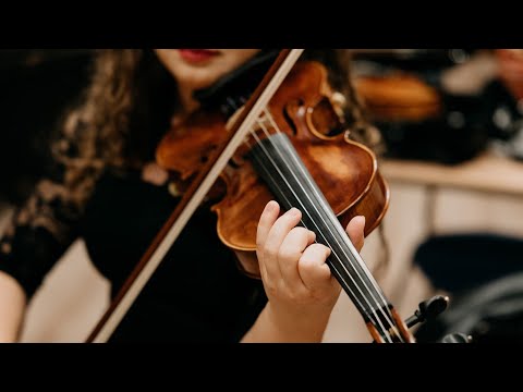 Your Violin - film 1
