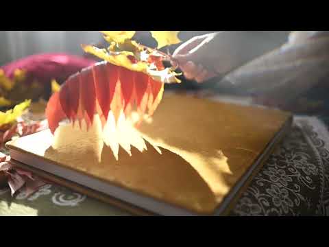 AZ BEDNARZ Fotografia - film 1