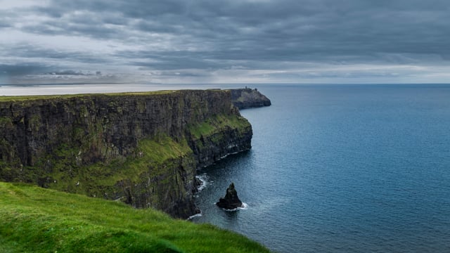 Blackleaf  - film - film 1