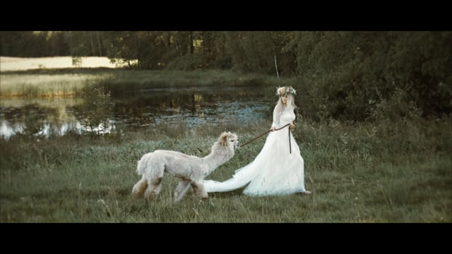 Coolartpro - film 1