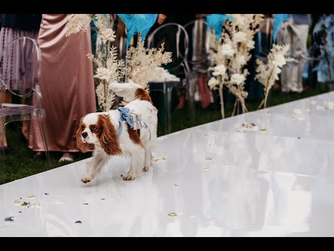 Ślubna Pracownia - film 1