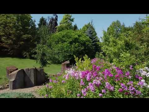 Siedem Drzew - film 1