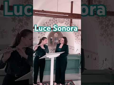 Luce Sonora - film 1