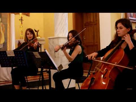 Trio Smyczkowe ARCO - film 1