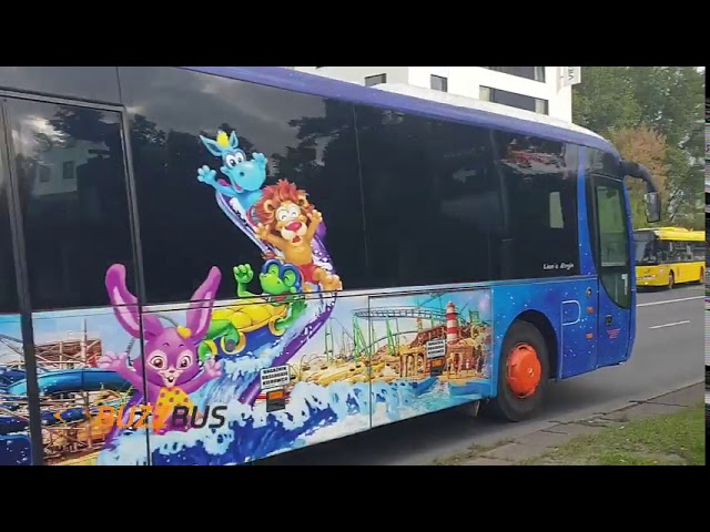 Wynajem autobusu / autokaru dla gości na wesele BUZZBus - film 1